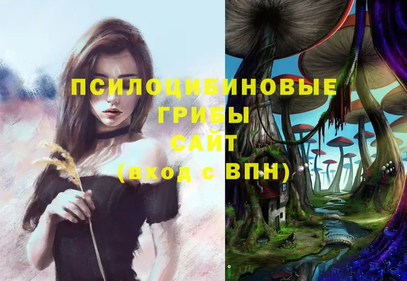 мега как зайти  купить   Клинцы  Галлюциногенные грибы Psilocybe 