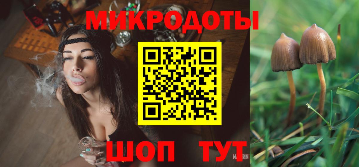 Псилоцибиновые грибы мицелий  Вход с VPN  Псилоцибиновые грибы Psilocybine cubensis  Клинцы 