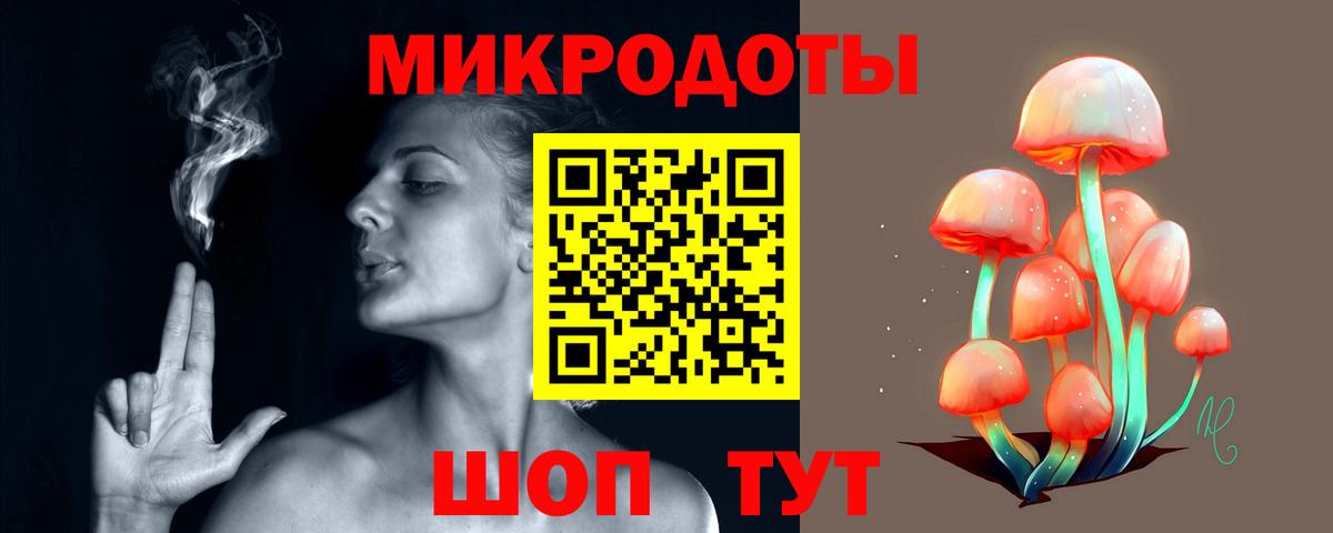 Псилоцибиновые грибы Psilocybe Клинцы